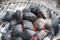 Het grillseizoen is open en zo word je er goed in