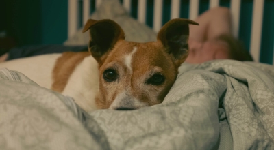 Waarom je slaap de belangrijkste upgrade is die je kunt maken